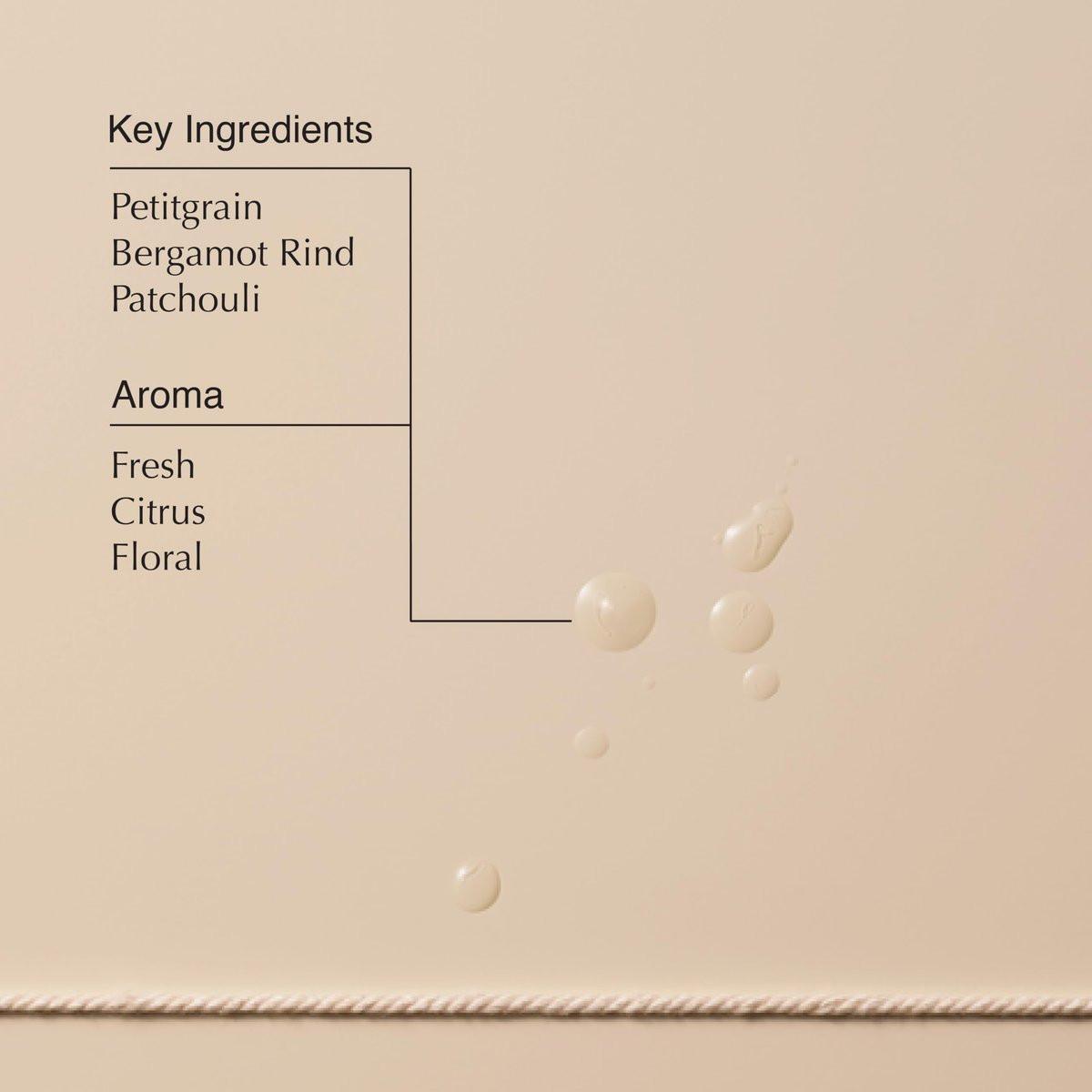 Aesop Tame Haar Serum – Glättet Frizz und fliegende Haare, leichtes Formel ohne Klebrigkeit, 60 ml