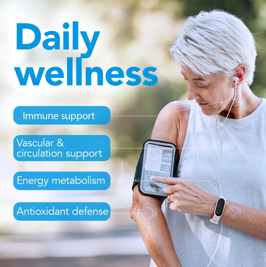 RUTASCORBIN Rutin und Vitamin C Tabletten für Kreislauf und Immununterstützung | Moderate Tagesdosis für Gefäße & Gefäßgesundheit, Antioxidans und Kollagenunterstützung, saubere Formel, 50 Stück pro Packung | 1er-Pack