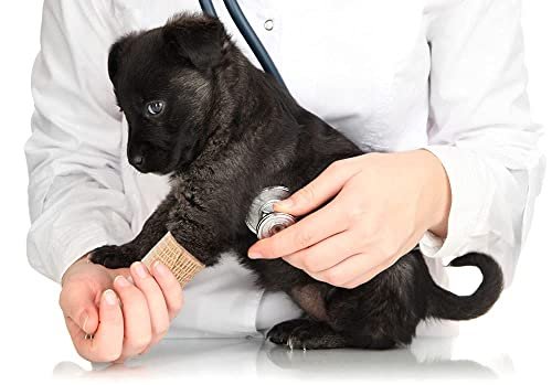 24 Stück Braune Atmungsaktive Selbstklebende Bandage 5 cm, Mehrzweck-Vlies-Kohäsivwickel - Tierbandage | Sporttape | Medizinisches Tape für Knöchelverstauchungen, Schwellungen, Haustiere