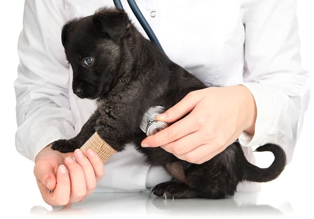 24 Stück Braune Atmungsaktive Selbstklebende Bandage 5 cm, Mehrzweck-Vlies-Kohäsivwickel - Tierbandage | Sporttape | Medizinisches Tape für Knöchelverstauchungen, Schwellungen, Haustiere