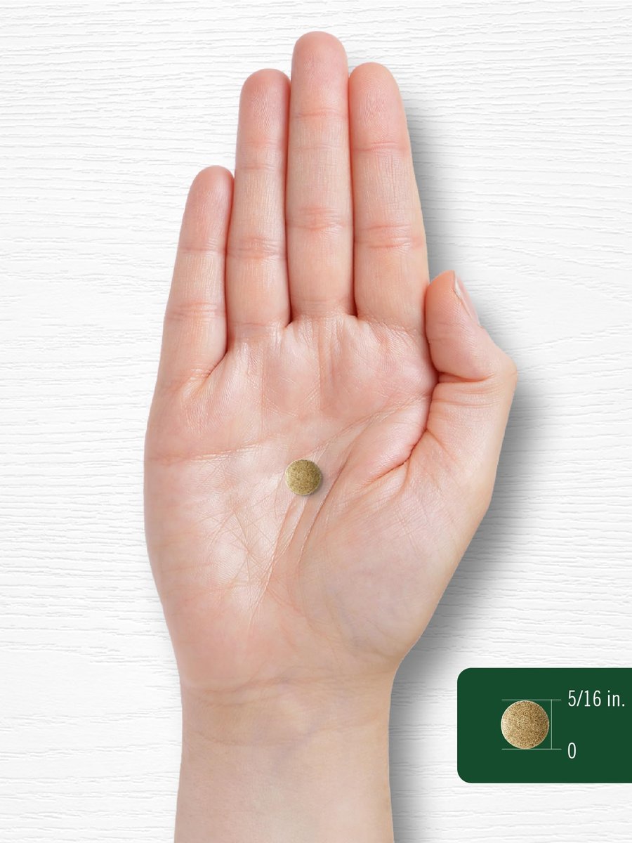 Carlyle Ginkgo Biloba | 400 Tabletten | Nicht-GVO, Glutenfreies pflanzliches Nahrungsergänzungsmittel