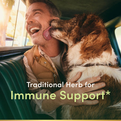 Nature's Bounty Sambucus Holunder Kräuterergänzung, Rapid Release Softgels, 630 mg pro Portion, 120 Stück