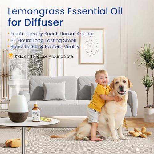 HIQILI Lemongrass Ätherisches Öl, 100% rein natürlich unverdünnt, Premium-Öl - 100 ml