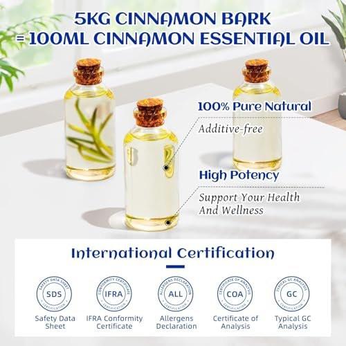 HIQILI Zimt ätherisches Öl 100% rein natürlich – 100 ml für Diffuser, Aromatherapie, Garten & Küche – Indoor & Outdoor