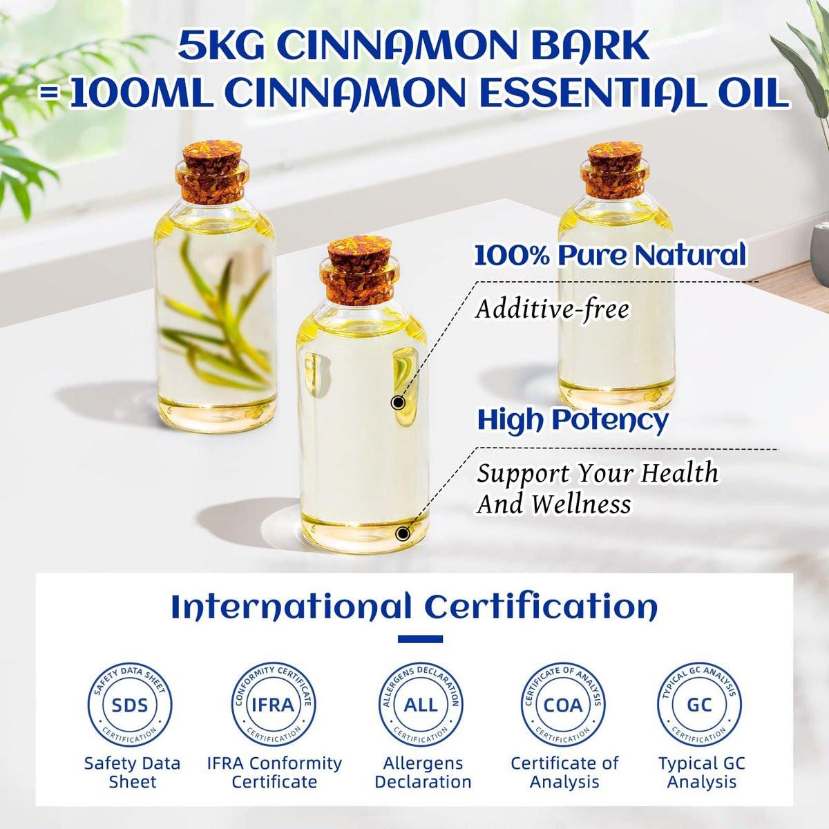 HIQILI Zimt ätherisches Öl 100% rein natürlich – 100 ml für Diffuser, Aromatherapie, Garten & Küche – Indoor & Outdoor