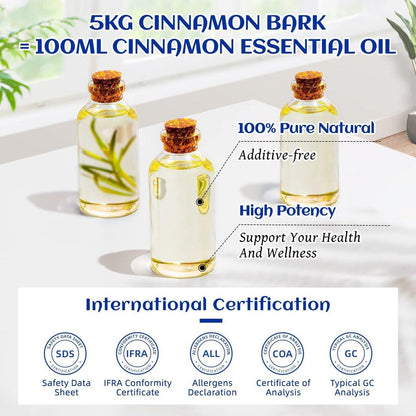 HIQILI Zimt ätherisches Öl 100% rein natürlich – 100 ml für Diffuser, Aromatherapie, Garten & Küche – Indoor & Outdoor