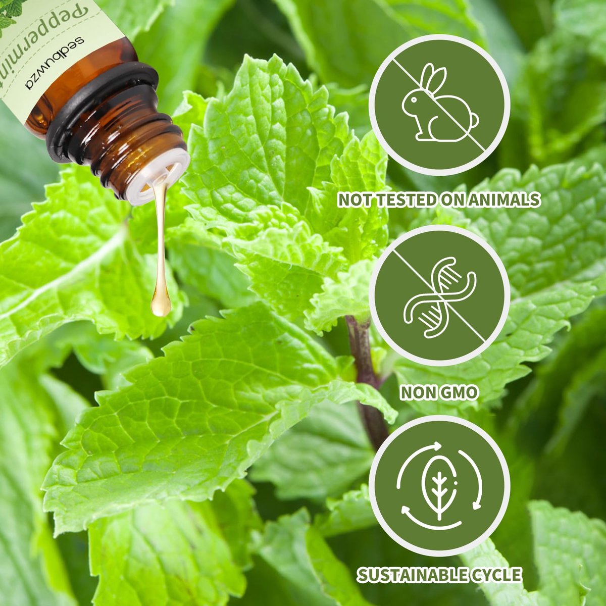 Sedbuwza Lavendel-Pfefferminz Ätherisches Öl Set, Lavendel Duftöl Pfefferminz Duftöl Set für Diffuser, Aromatherapie, Massage, Seife, Kerzenherstellung 2 x 10 ml