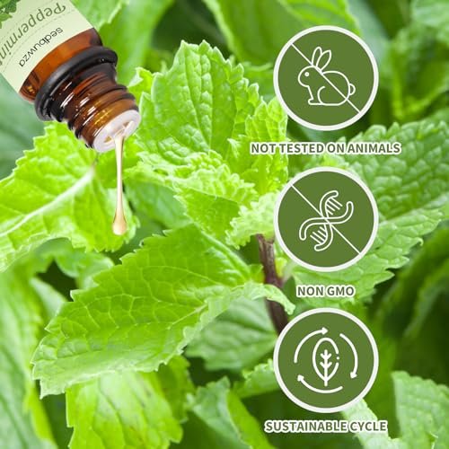Sedbuwza Lavendel-Pfefferminz Ätherisches Öl Set, Lavendel Duftöl Pfefferminz Duftöl Set für Diffuser, Aromatherapie, Massage, Seife, Kerzenherstellung 2 x 10 ml