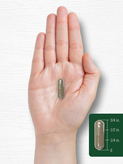 Carlyle Königskerzenblattextrakt | 200 Kapseln | Verbascum Thapsus | Nicht-GVO, glutenfrei