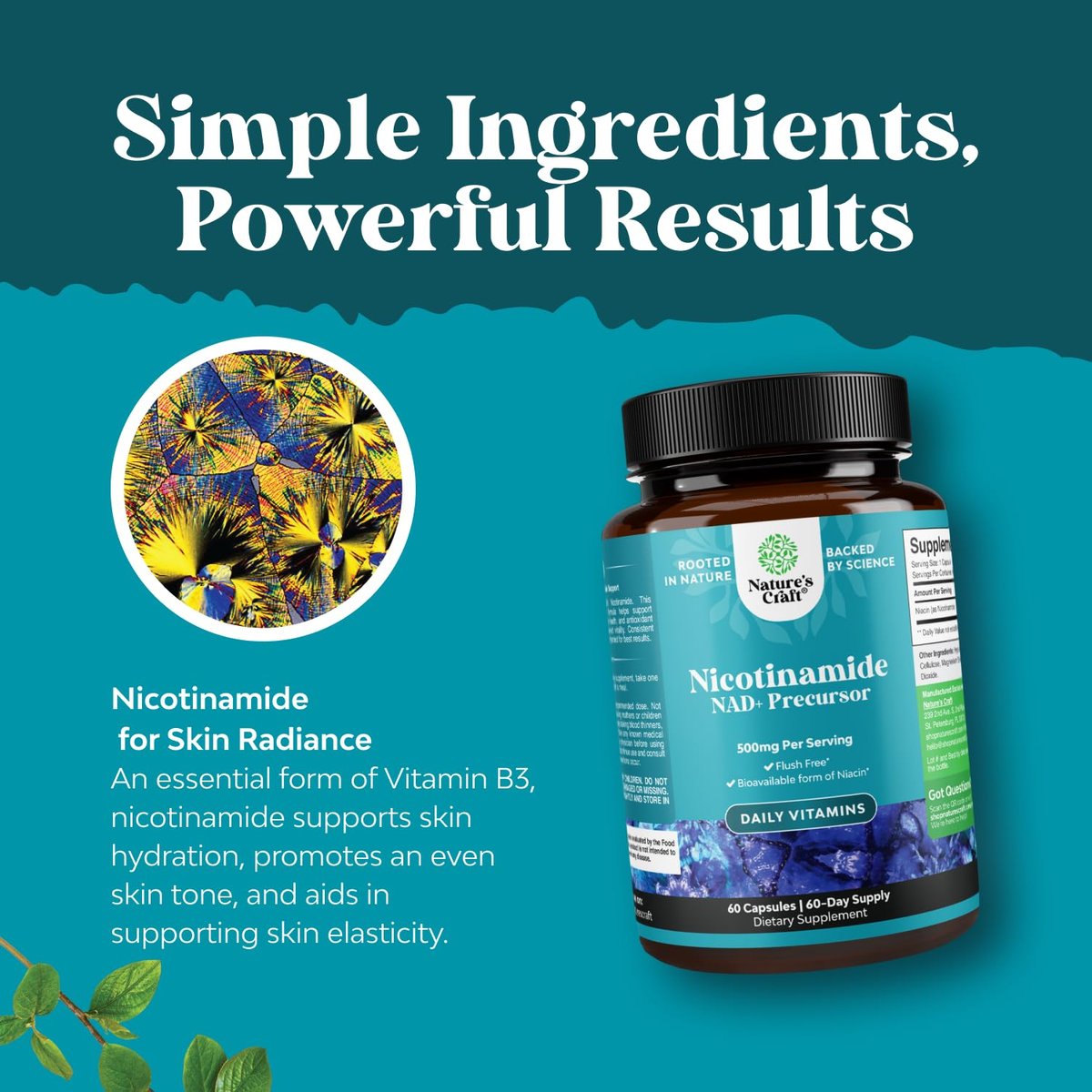 Vitamin B3 Niacinamid 500mg Kapseln – Mitochondrien-Energie und Hautergänzung – Niacin Flush-frei & Nicotinamid 500mg – 60 Kapseln