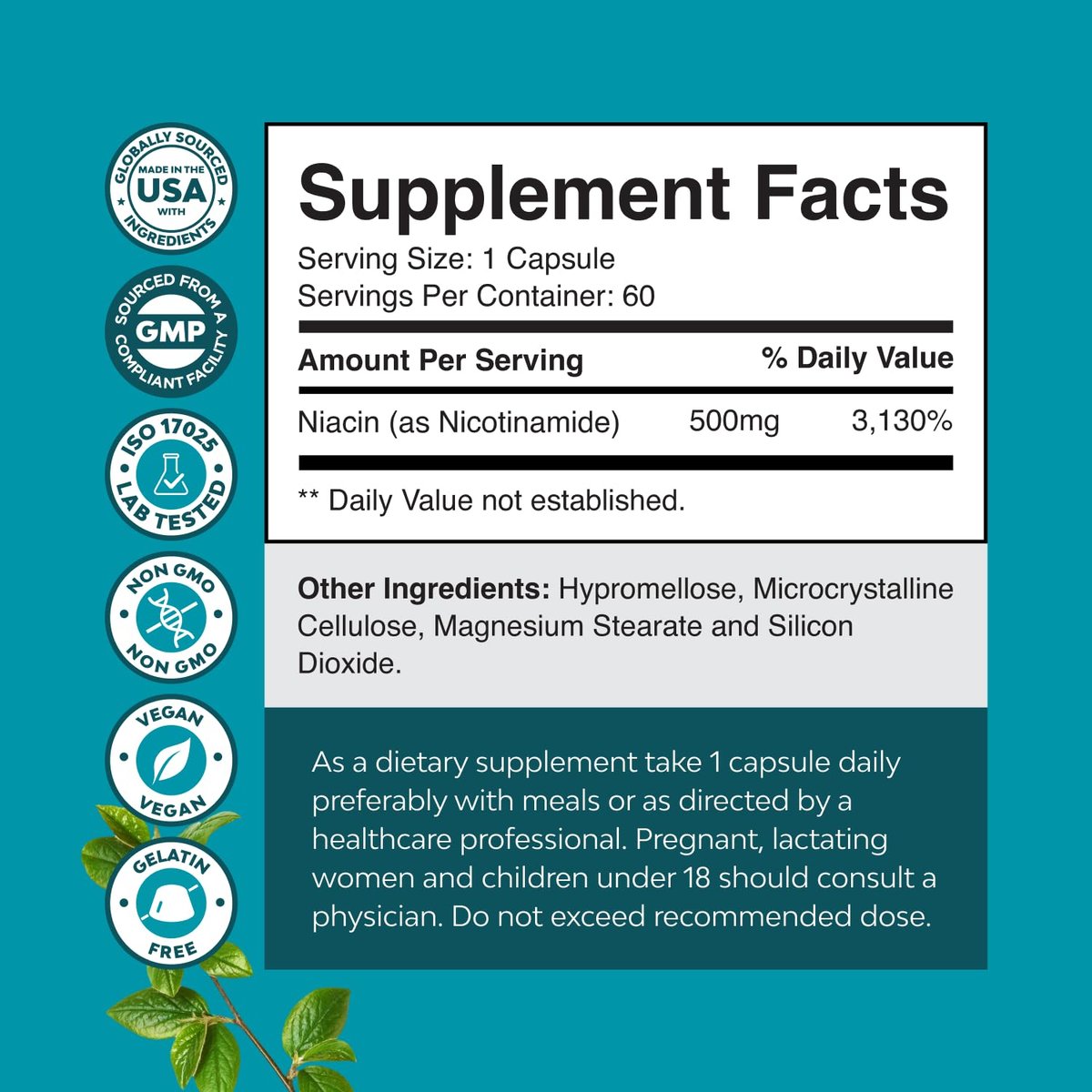 Vitamin B3 Niacinamid 500mg Kapseln – Mitochondrien-Energie und Hautergänzung – Niacin Flush-frei & Nicotinamid 500mg – 60 Kapseln