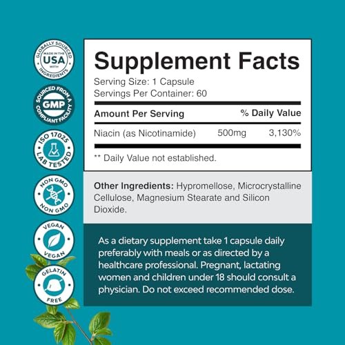 Vitamin B3 Niacinamid 500mg Kapseln – Mitochondrien-Energie und Hautergänzung – Niacin Flush-frei & Nicotinamid 500mg – 60 Kapseln