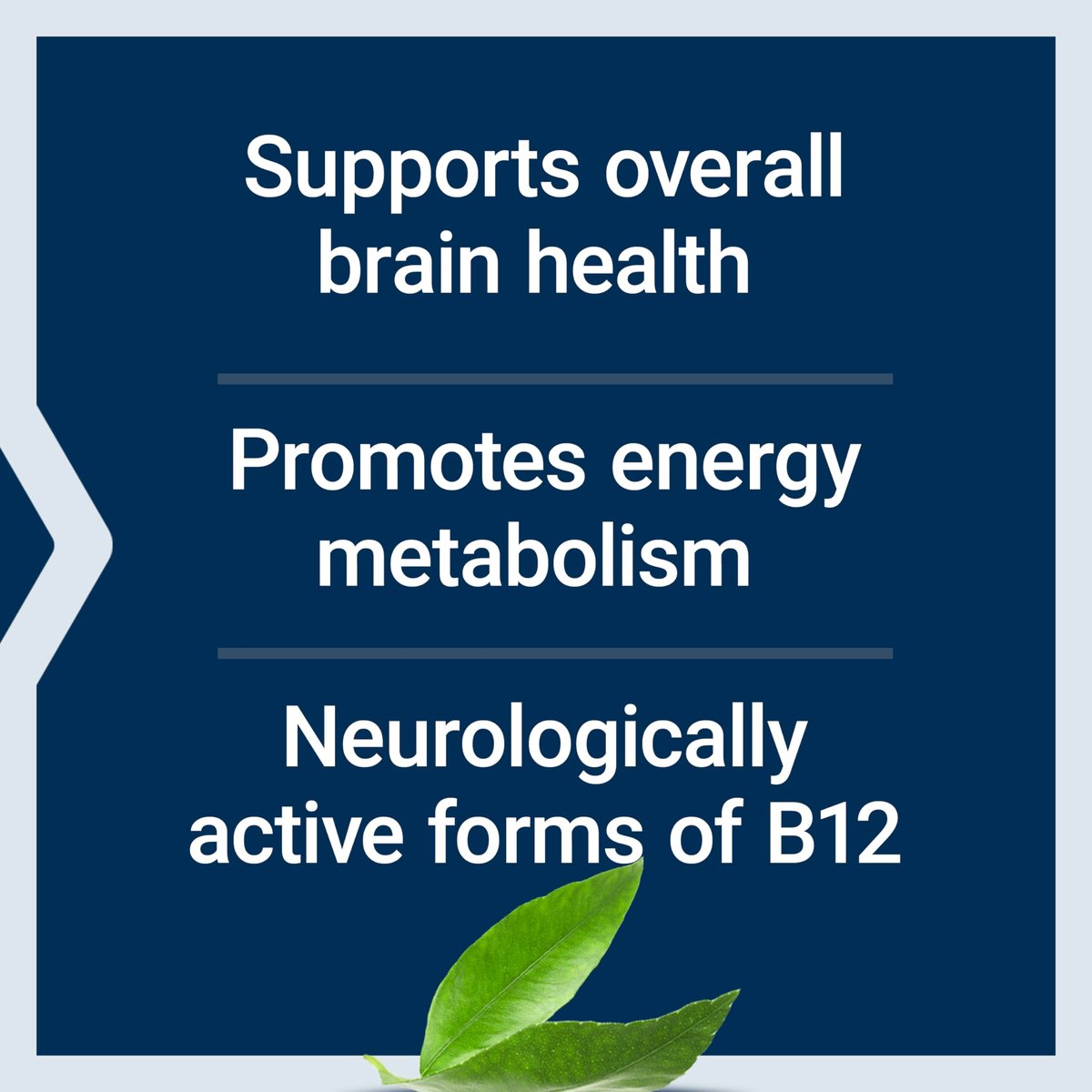 Life Extension B12 Elite – 60 Lutschtabletten mit Adenosylcobalamin und Methylcobalamin für Gehirngesundheit und Dopaminproduktion, Nicht-GVO, Glutenfrei, Vegetarisch
