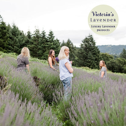 Victoria's Lavender Don’t Bug Me Insektenspray - Natürlicher Insektenschutz für Kinder - Ideal für den Innen- und Außenbereich - DEET-frei mit ätherischen Ölen, Aloe Vera & Eukalyptus - Hergestellt in den USA – 118 ml