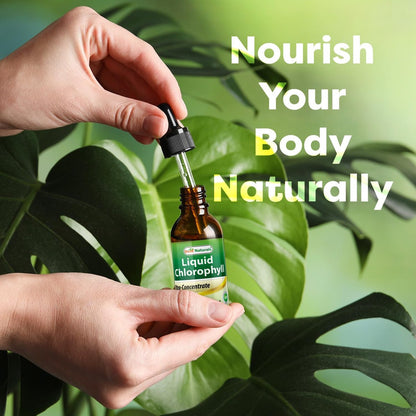 Best Naturals Chlorophyll-Tropfen flüssig 50 mg, 2 Fl Oz – Natürliches Detox, Energie, Verdauung & Hautgesundheit, Vegan, Nicht-GVO, Leichte Absorption