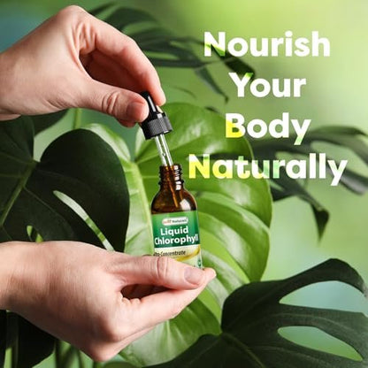 Best Naturals Chlorophyll-Tropfen flüssig 50 mg, 2 Fl Oz – Natürliches Detox, Energie, Verdauung & Hautgesundheit, Vegan, Nicht-GVO, Leichte Absorption