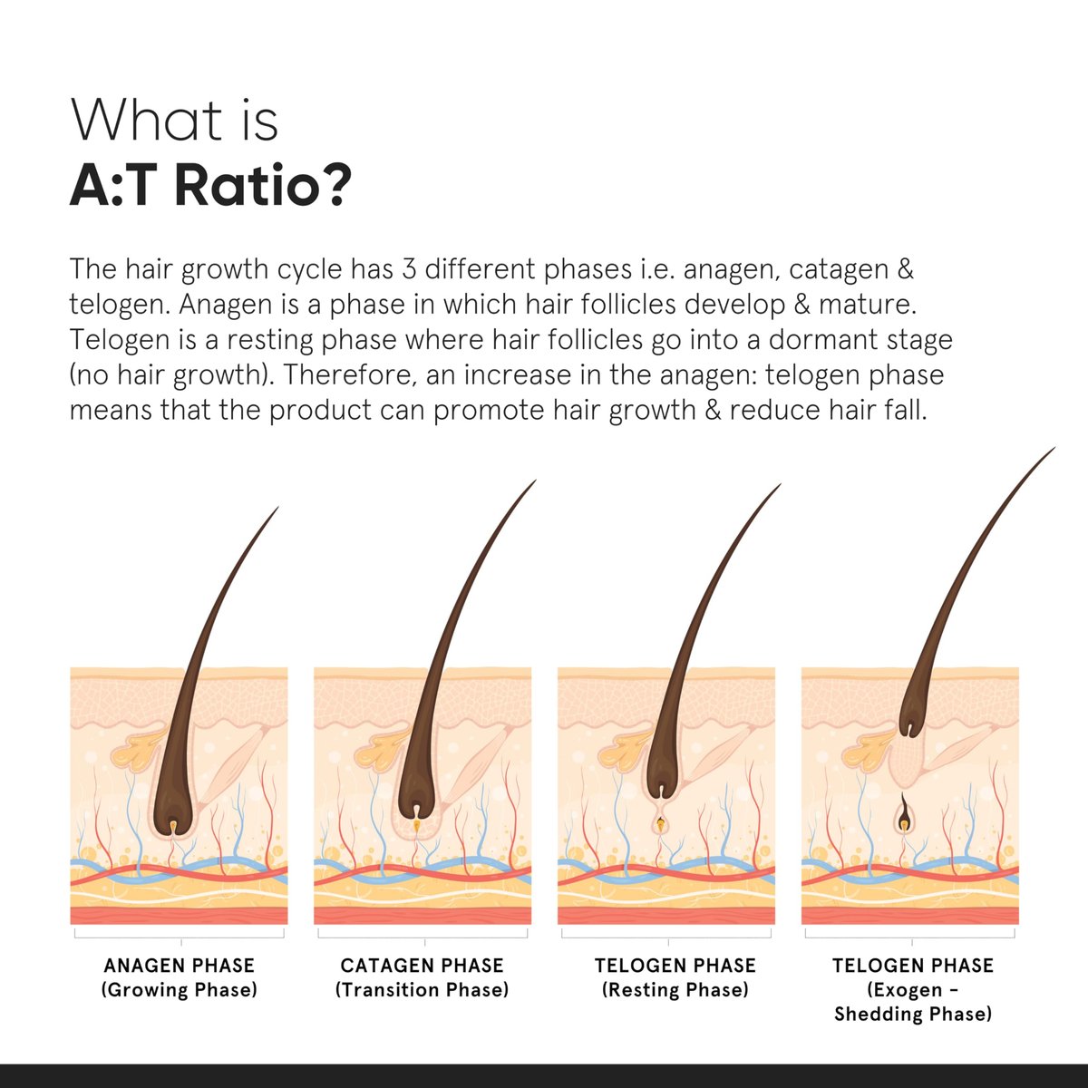 Minimalist Hair Density Serum 18% | Mit Procapil, Capixyl, Redensyl, Anagain & Baicapil gegen Haarausfall | Für Frauen & Männer | 30 ml