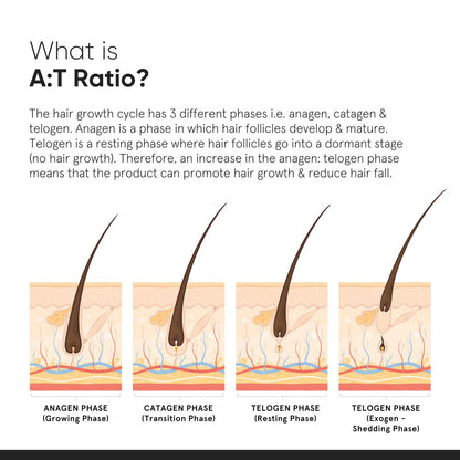 Minimalist Hair Density Serum 18% | Mit Procapil, Capixyl, Redensyl, Anagain & Baicapil gegen Haarausfall | Für Frauen & Männer | 30 ml