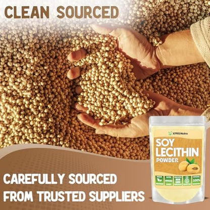 XPRS Nutra Sojalecithin Pulver, lebensmittelecht, Fettemulgator – Geeignet zum Kochen, Backen und mehr – Veganfreundliches Kochhilfsmittel (113 g)