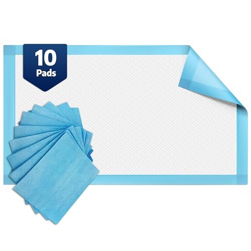 BodyMed Einweg-Unterlagen für Inkontinenz, 58 x 91 cm, 10 Stück, Standard Saugfähigkeit – Diskret, atmungsaktiv und leicht – Ideal für Erwachsene, Kinder, Senioren und Haustiere