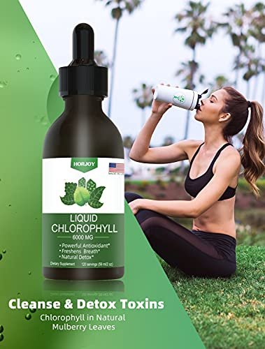 Chlorophyll Flüssigtropfen – 100% natürlicher Energie-Booster & Immununterstützung – Inneres Deodorant & Detox – Höhenkrankheit Linderung – Schnelle Absorption, Vegan & Non-GMO – 120 Portionen (1er Pack)