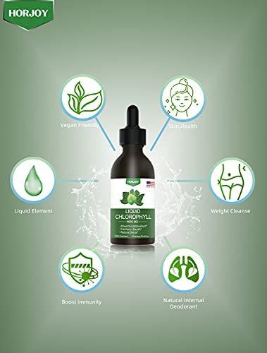 Chlorophyll Flüssigtropfen – 100% natürlicher Energie-Booster & Immununterstützung – Inneres Deodorant & Detox – Höhenkrankheit Linderung – Schnelle Absorption, Vegan & Non-GMO – 120 Portionen (1er Pack)