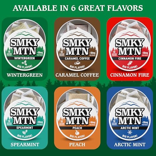 SMOKEY MOUNTAIN Koffeinhaltige Beutel – Wintergreen – Tabak- und Nikotinfrei – 5-Dosen-Box – 15 Beutel pro Dose