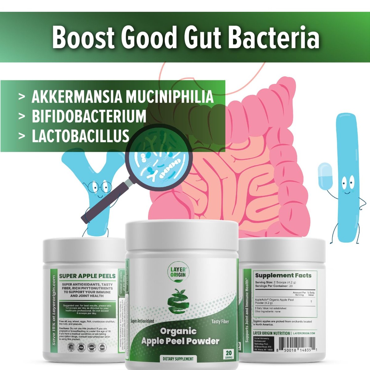 Layer Origin Bio Apfelschalenpulver – Fördert Akkermansia und Bifidobakterien – Präbiotikum