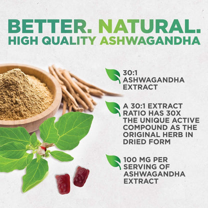 Ashwagandha Gummis – Fortschrittliche Ashwagandha-Gummi-Formel für den täglichen Gebrauch – Natürliche Antioxidans-Unterstützung & Gehirngesundheit – Natürliche Ruhe, Entspannung & Immununterstützung – Beerengeschmack – 60 Gummis