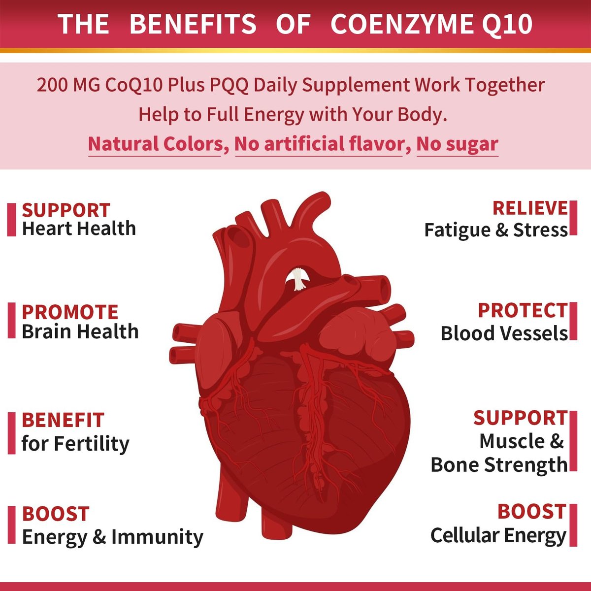 ZEBORA CoQ10 200 mg Weichkapseln mit PQQ, BioPerin & Omega-3 – 120 Portionen Coenzym Q10 (Ubichinon) zur hohen Aufnahme, starkes Antioxidans, Unterstützung von Herz & Energieproduktion