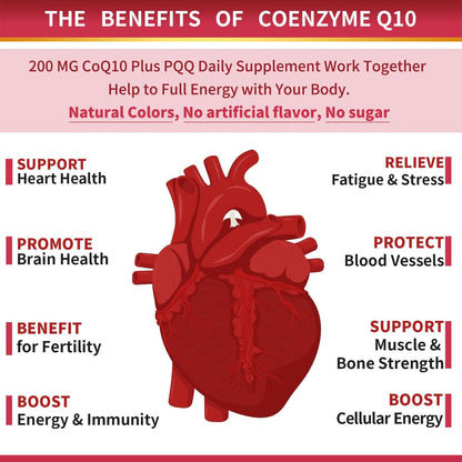 ZEBORA CoQ10 200 mg Weichkapseln mit PQQ, BioPerin & Omega-3 – 120 Portionen Coenzym Q10 (Ubichinon) zur hohen Aufnahme, starkes Antioxidans, Unterstützung von Herz & Energieproduktion