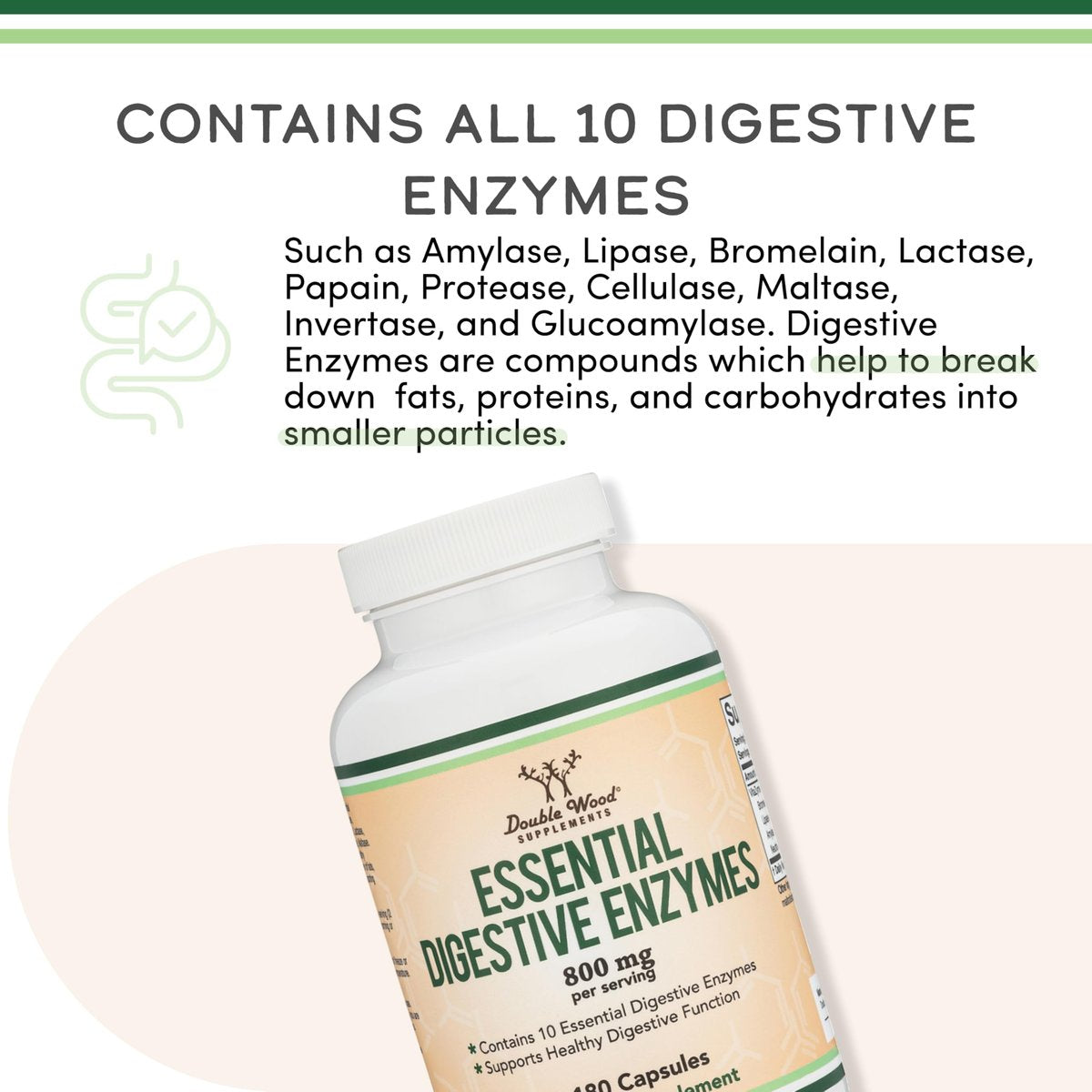Verdauungsenzyme - 800mg Mischung aller 10 wichtigsten Verdauungs- und Pankreasenzyme (Amylase, Lipase, Bromelain, Lactase, Papain, Protease, Cellulase, Maltase, Invertase) von Double Wood