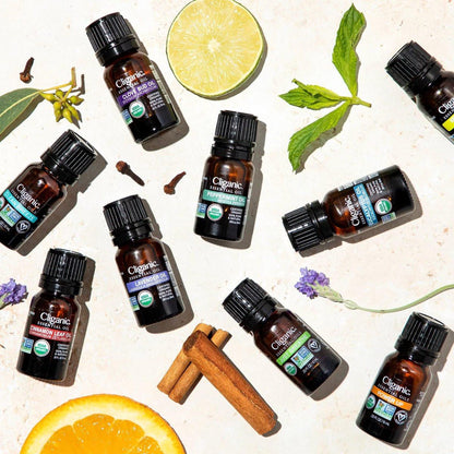 Cliganic Bio Nelkenknospen Öl, 100% rein natürlich für Aromatherapie | Non-GMO verifiziert