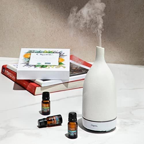 Cliganic Bio Nelkenknospen Öl, 100% rein natürlich für Aromatherapie | Non-GMO verifiziert