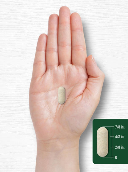 Carlyle Vitamin C 1000 mg mit Hagebutte – Zeitverzögerte Freisetzung, 120 vegetarische Kapseln, Nicht-GVO & Glutenfrei