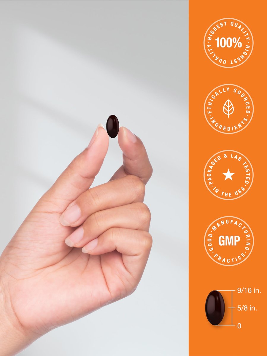 Horbäach Vitamin K2 MK7 100mcg | 250 Softgels | Nicht-GVO, Glutenfrei