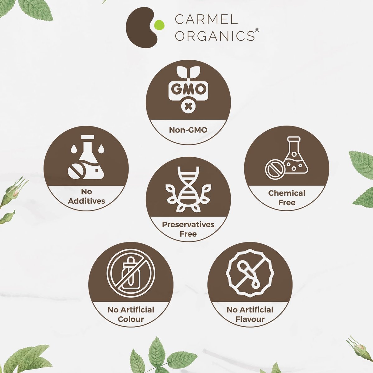 CARMEL ORGANICS Bacopa Monnieri / Brahmi Pulver – 227 g (8 Unzen) – Reines & natürliches Bacopa-Pulver, Non-GMO, ohne Zusatzstoffe