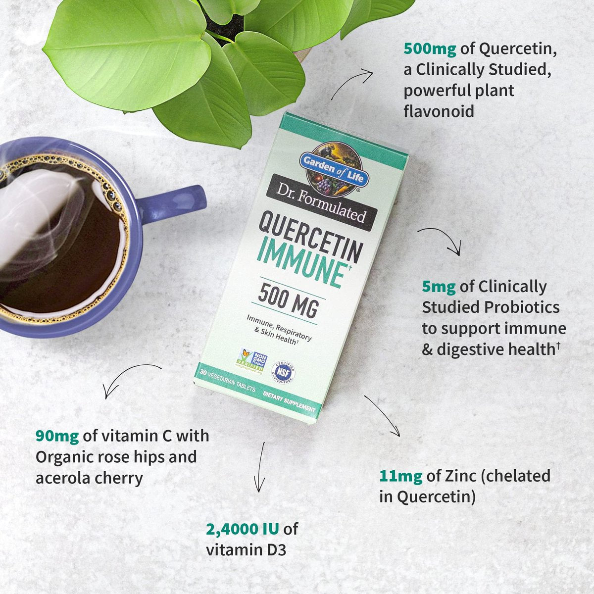 Garden of Life Quercetin Täglich – Immunsystem-Unterstützung mit Vitamin C, D & Probiotika – Dr. Formuliert – 30 Tabletten