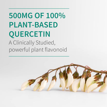 Garden of Life Quercetin Täglich – Immunsystem-Unterstützung mit Vitamin C, D & Probiotika – Dr. Formuliert – 30 Tabletten