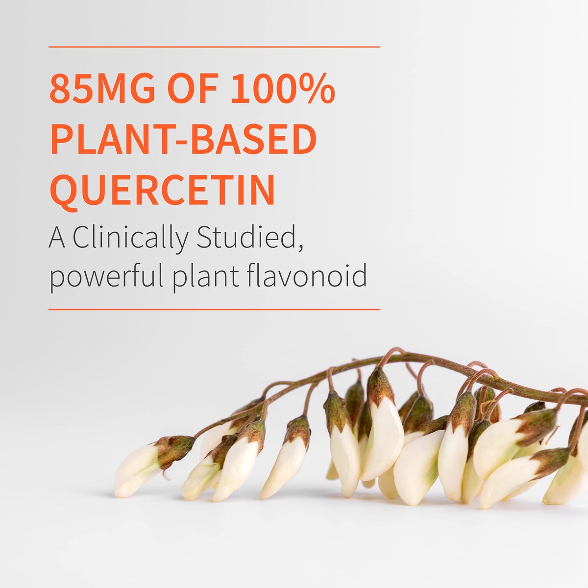 Garden of Life Dr. Formulated Vitamin D3 & Zink Quercetin Tagesergänzung – Immununterstützung & Brustgesundheit, Non-GMO, Glutenfrei, 30 kleine Tabletten
