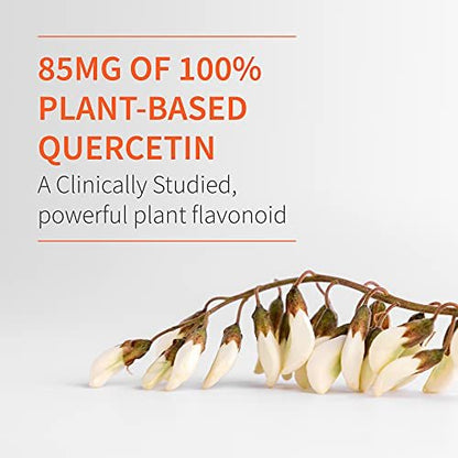 Garden of Life Dr. Formulated Vitamin D3 & Zink Quercetin Tagesergänzung – Immununterstützung & Brustgesundheit, Non-GMO, Glutenfrei, 30 kleine Tabletten