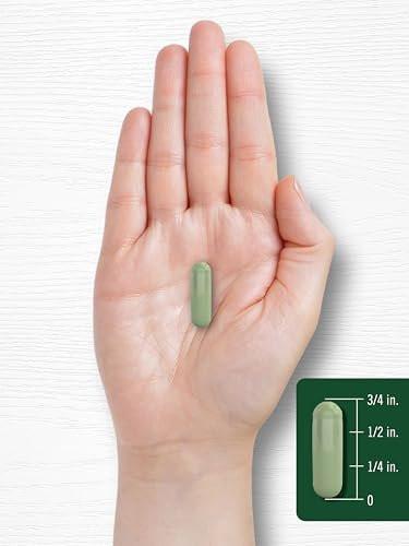 Carlyle Moringa Oleifera Kapseln | 180 Kapseln | Komplettes grünes Superfood für Frauen und Männer | aus Moringa-Blattpulver | Non-GMO und Glutenfrei