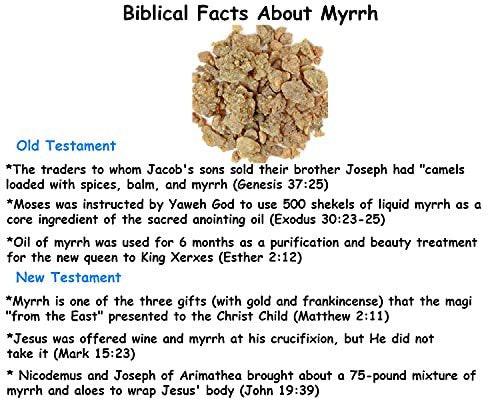 BIBLE N Beautyoils Queen Esther Myrrhe Gesichtsöl – Myrrhe-infundierte Hautpflege mit Rosenöl, Argan, Sanddorn, Granatapfelkernöl für strahlende Haut, 30 ml (Bulgarische Rose)