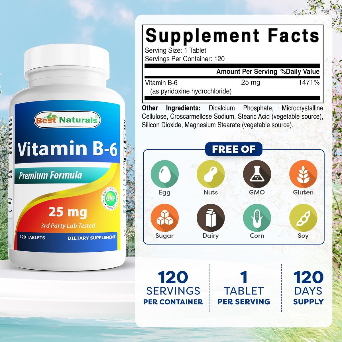Best Naturals Vitamin B6 25 mg – 120 Tabletten, Nahrungsergänzungsmittel