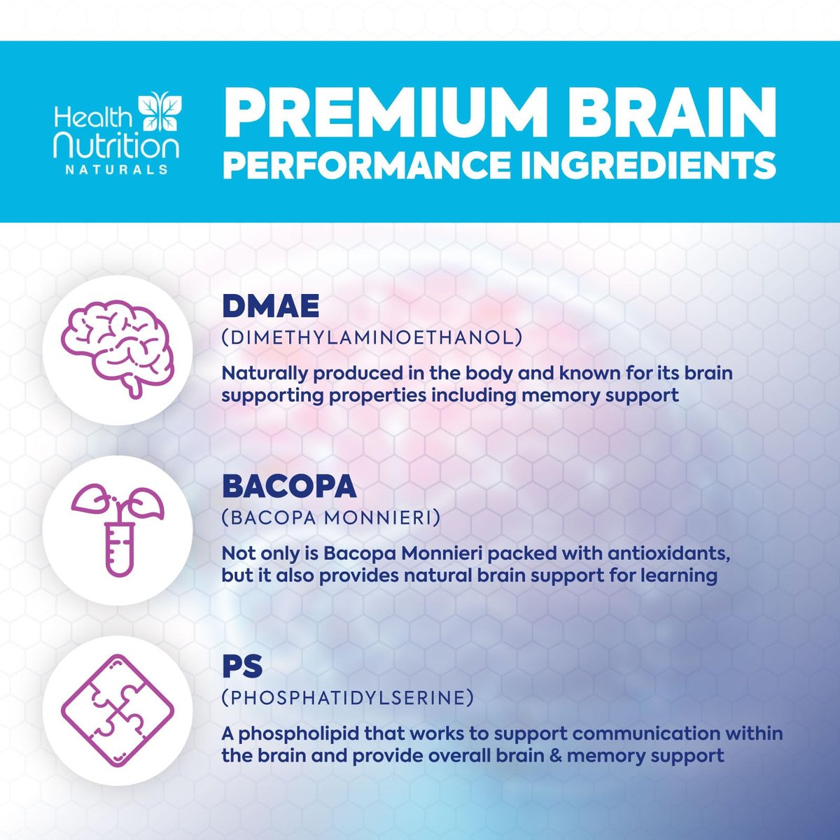 Gehirn Gedächtnis Ergänzung - 3X Stärke Nootropika für Konzentration, Klarheit & Fokus Unterstützung - Gehirngesundheit kognitive Vitamine mit Bacopa, Phosphatidylserin & DMAE, Gehirn Booster, 120 Kapseln