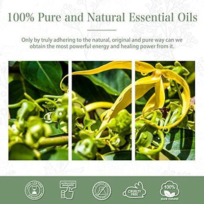 PHATOIL 100ml Ylang-Ylang-Öl – Reines ätherisches Öl für Diffuser, Luftbefeuchter, Seifen- und Kerzenherstellung (3,38 fl.oz)