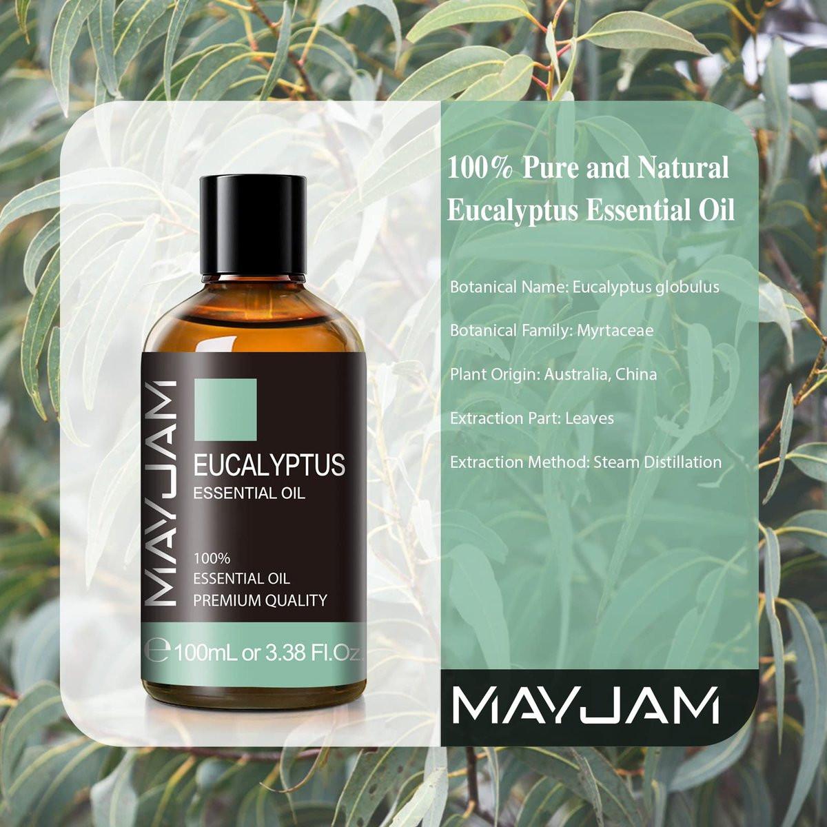 Eukalyptus ätherisches Öl, MAYJAM 3,38 fl.oz Große Flasche reines ätherisches Öl, ideal für Wohnzimmer, Schlafzimmer, Büro und Auto