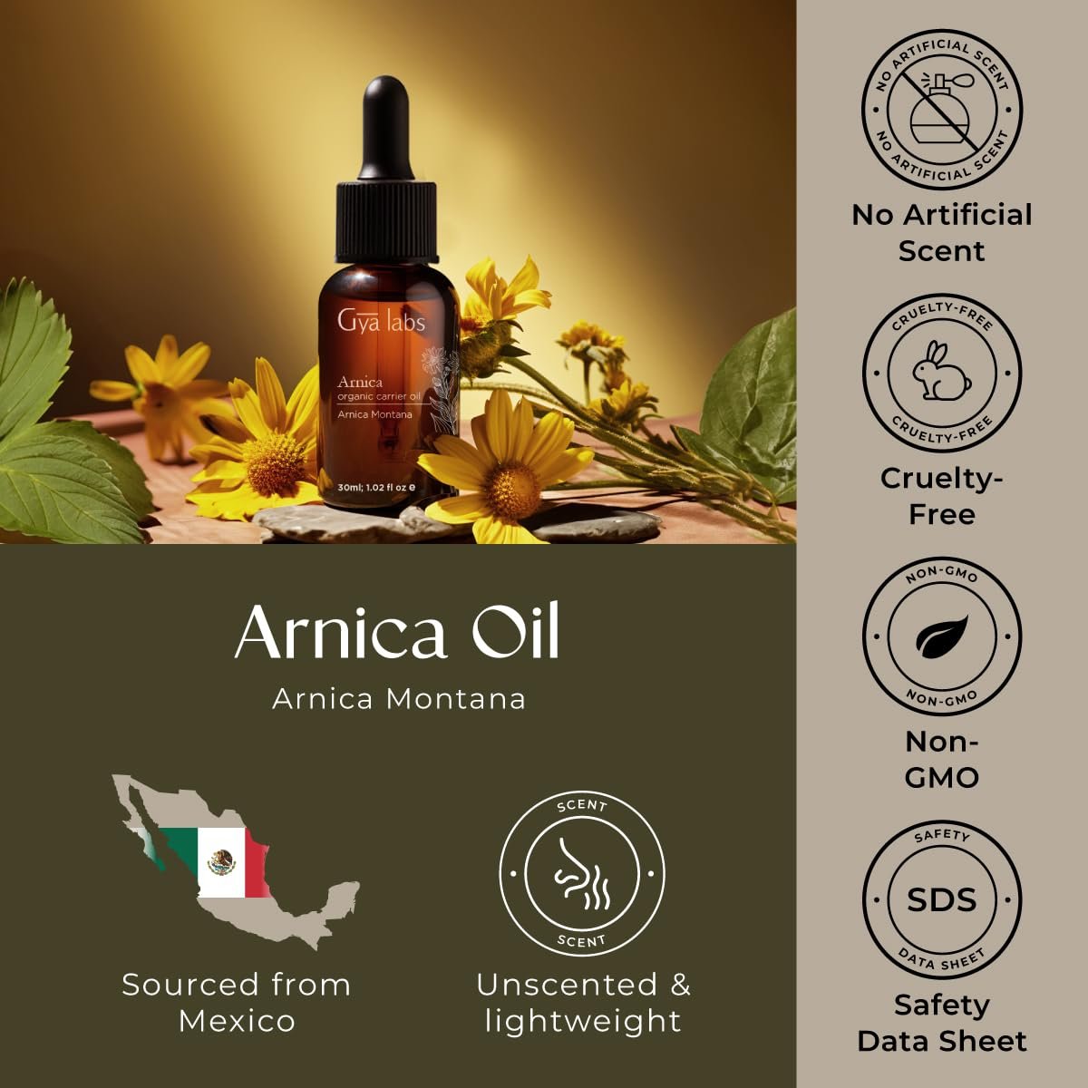 Gya Labs Arnica Öl - 30 ml - Trägeröl für Haare, Haut, Gesicht, Kopfhaut & Körpermassage