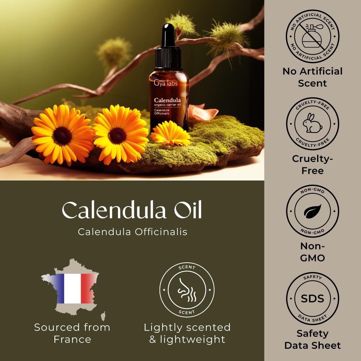 Gya Labs Calendula-Öl – 30 ml – Trägeröl für Haare, Haut, Gesicht, Kopfhaut und Körpermassage
