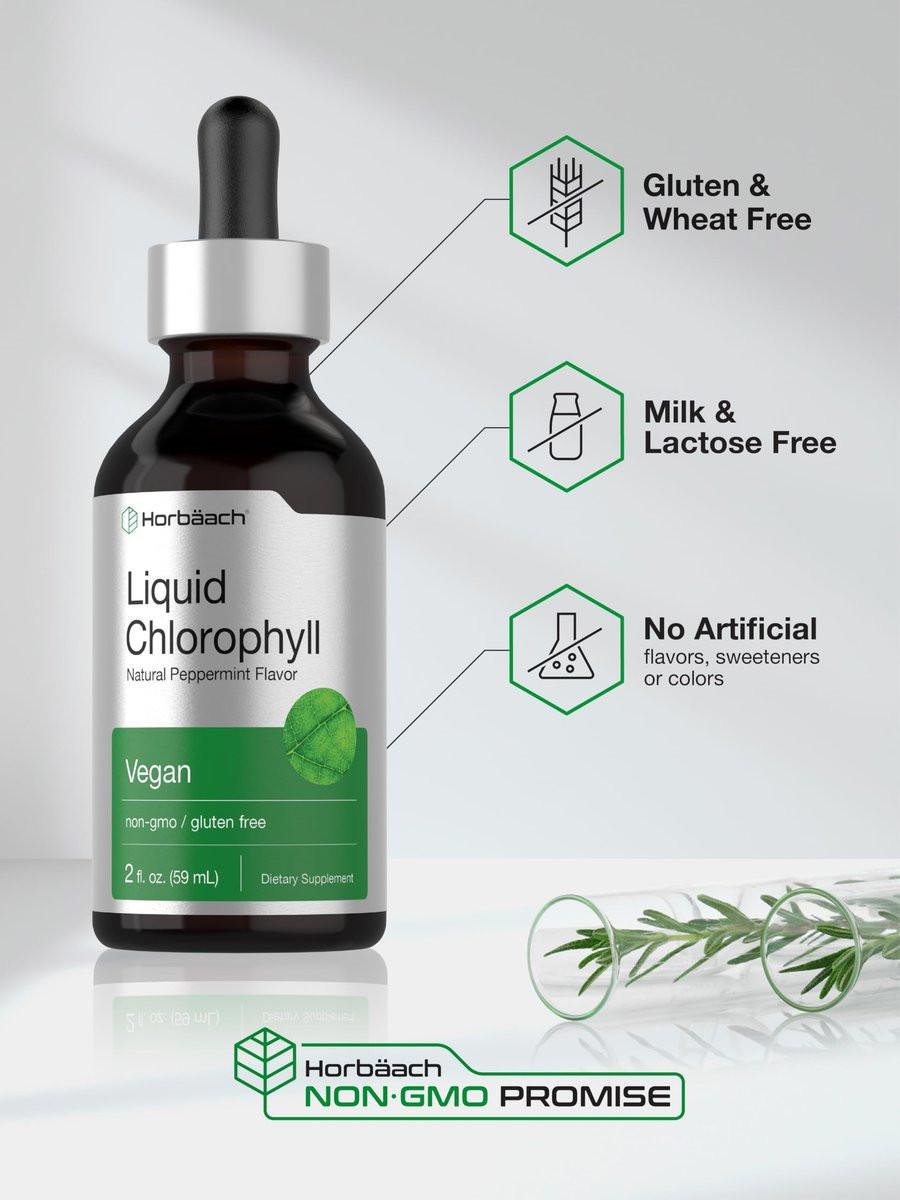 Horbäach Liquid Chlorophyll Drops | 2 fl oz | Natürlicher Pfefferminzgeschmack | Vegan, Nicht-GVO & Glutenfrei